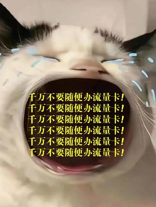 广平办流量卡
