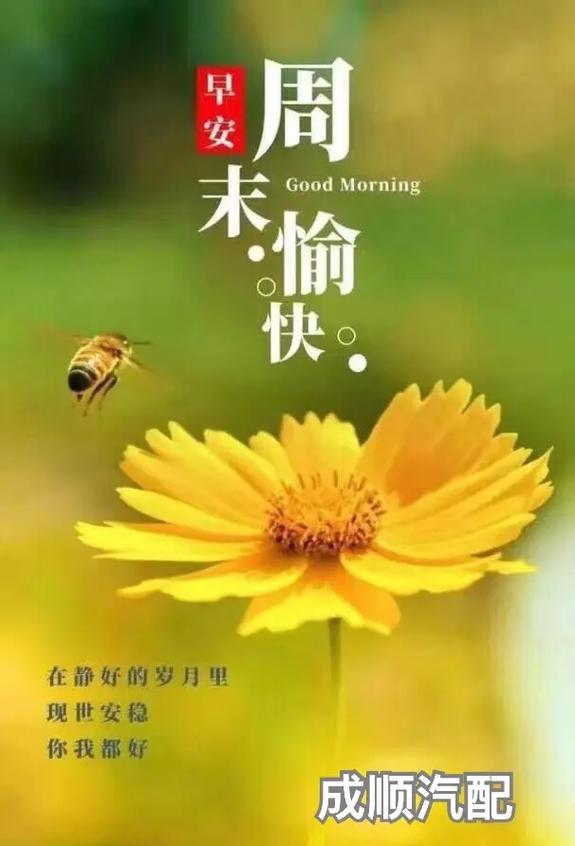 万凯流量卡，它真的能满足你的所有上网需求吗？