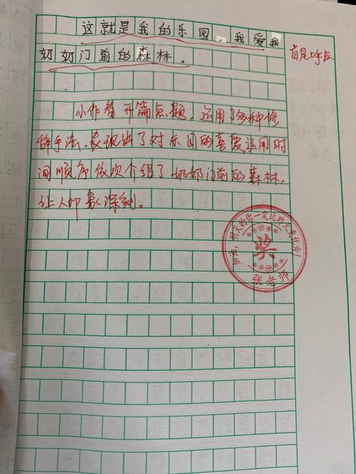 好评30字左右的评语，好评怎么写？(好评30字左右的作文)