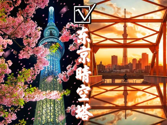 东京流量卡旅游