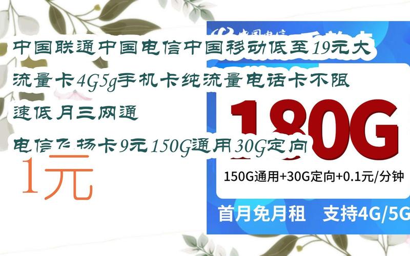 1元5g流量流量卡