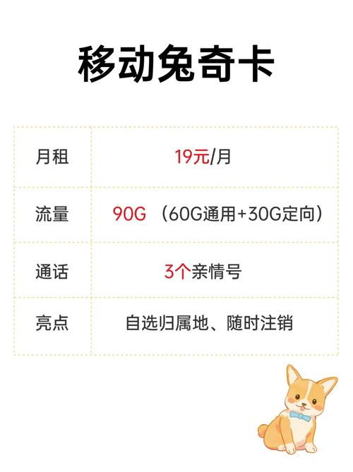 怎么看流量卡的定向流量