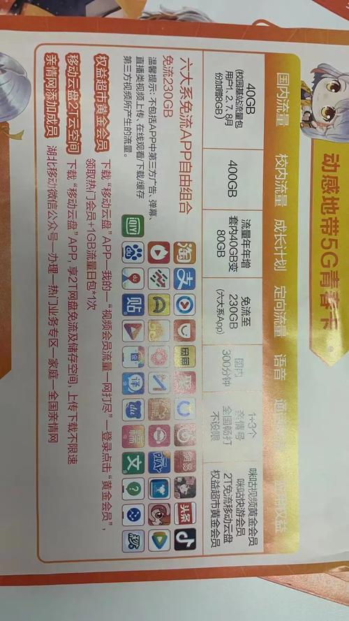 校园流量卡流量使用情况