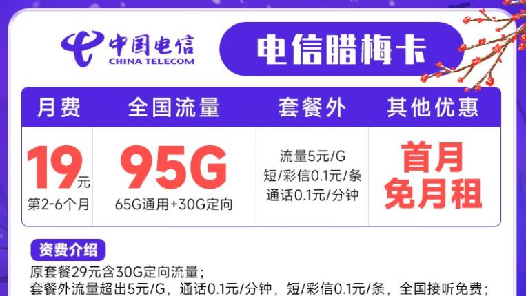 通用流量100g流量卡电信