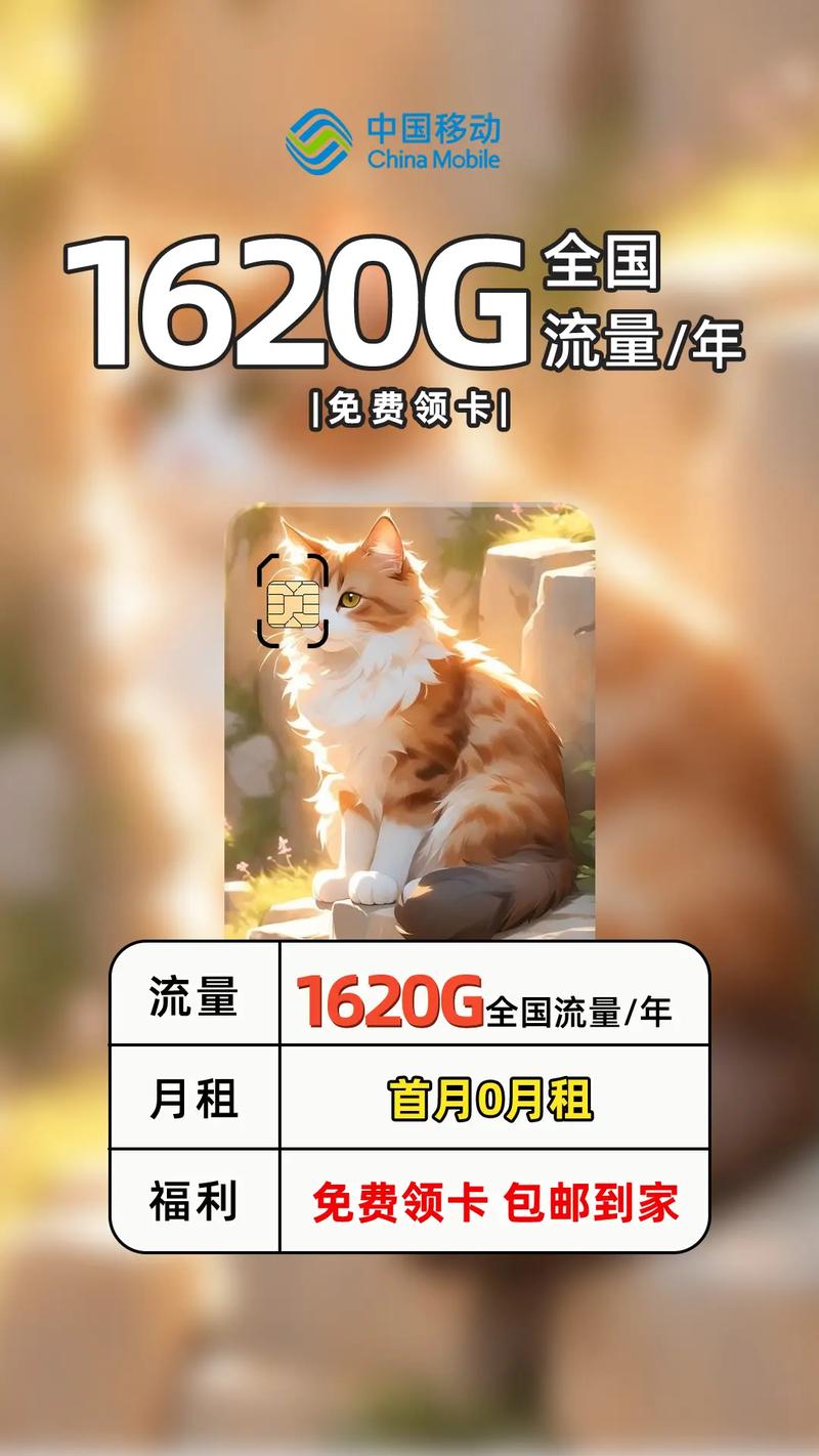 纯流量卡1620g流量