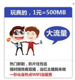 超级会员流量日租卡流量