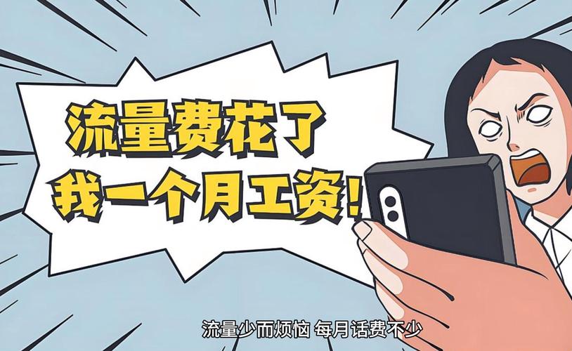 新办的流量卡流量不够用