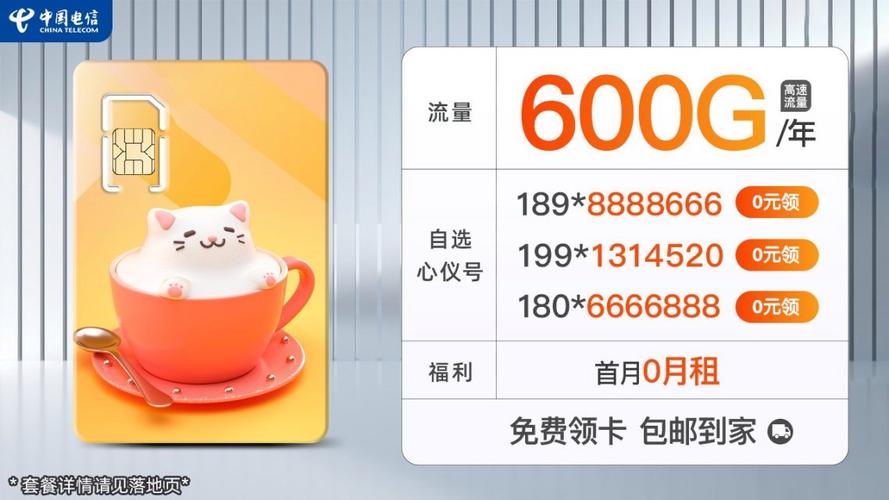 流量卡月包600g流量