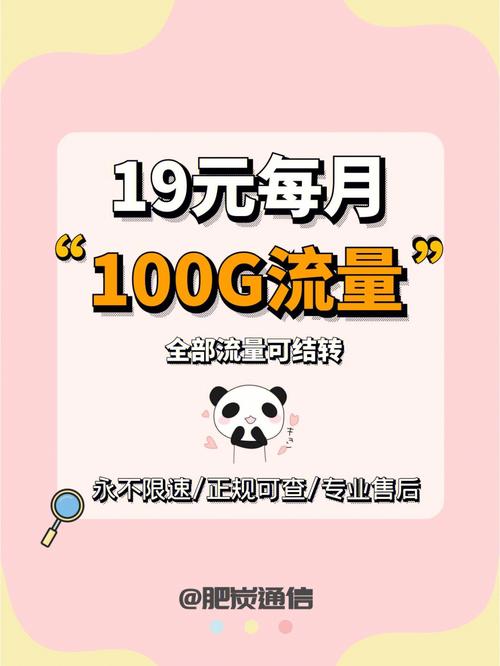 纯流量卡1620g流量