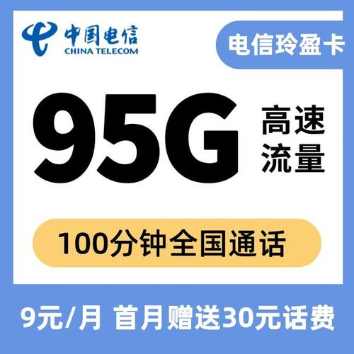 永久9元卡95G流量