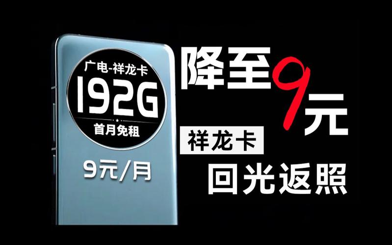 永久9元卡95G流量