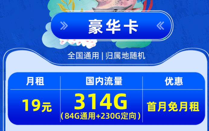移动流量卡中，哪款的网速表现最佳？
