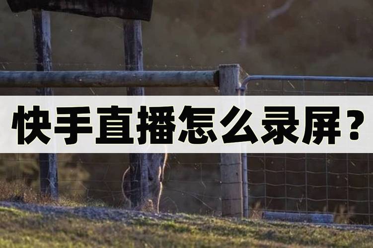 视频怎么录制快手