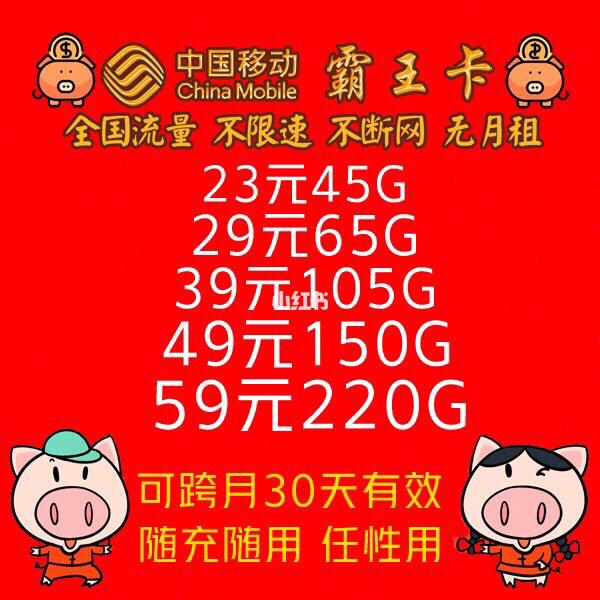 移动能只办流量卡吗吗