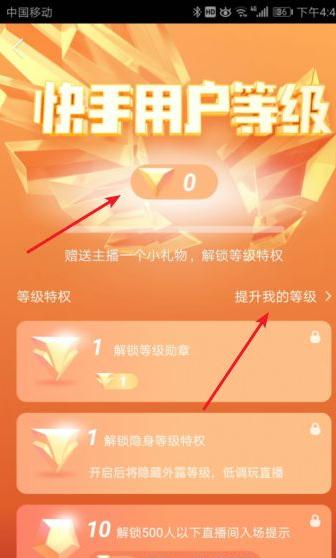 快手等级怎么调低