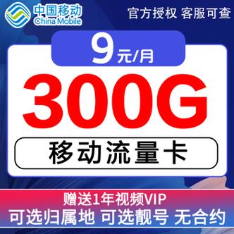 手机支持高速流量卡吗