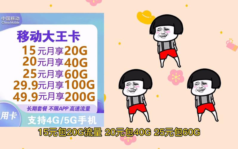 大王卡套餐外计费流量