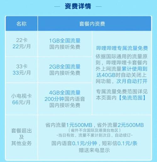 b站22卡流量日租包