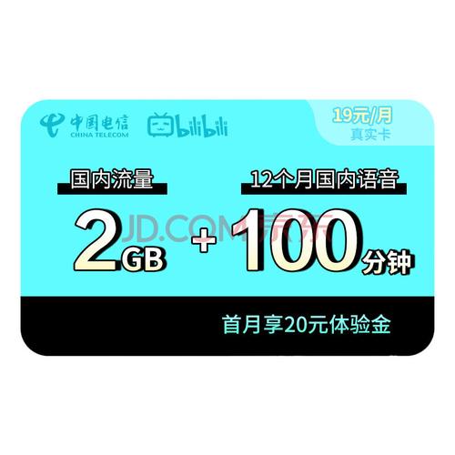 b站免流量卡是几G卡