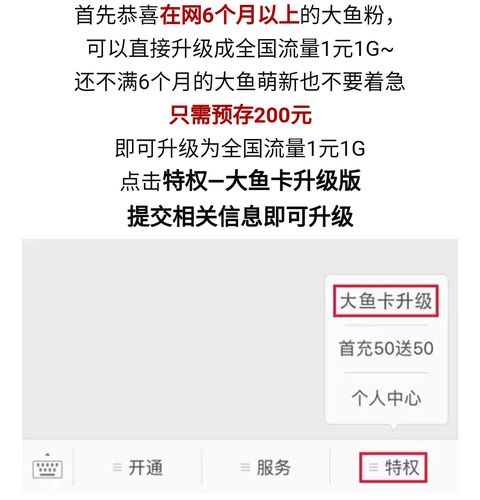 阿里鱼卡每月最高流量