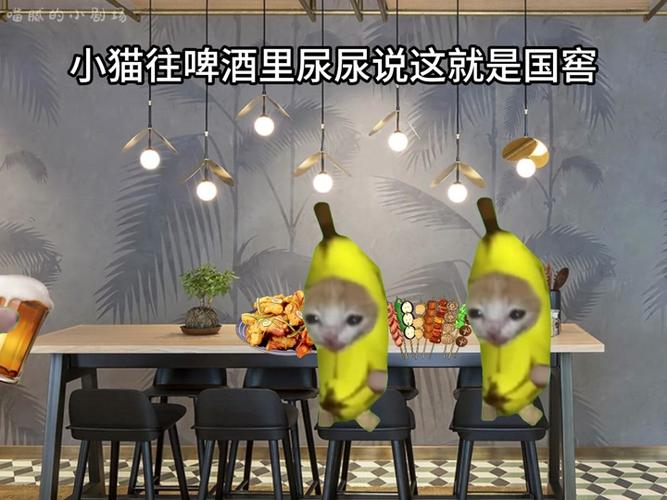 抖音猫牙用什么做的音乐