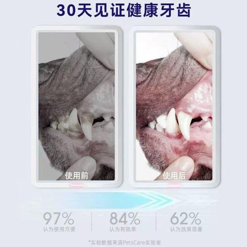 抖音猫牙用什么做的音乐