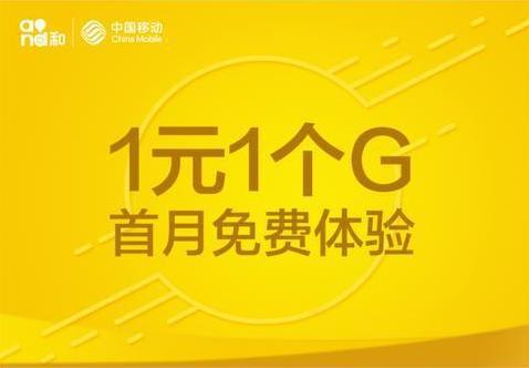 大王卡赠送的1g流量