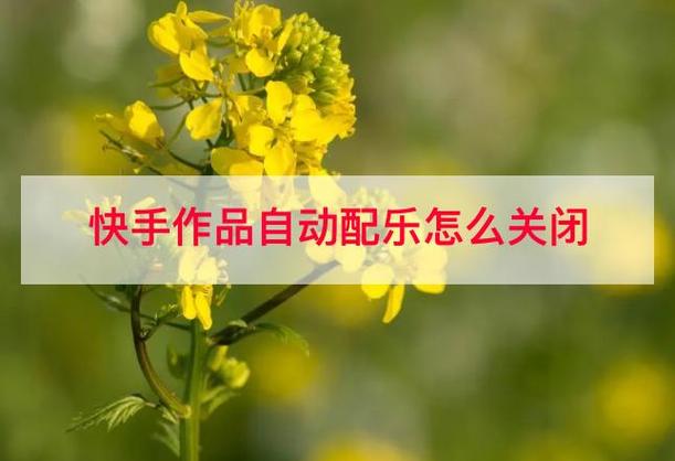 快手怎么消除配乐