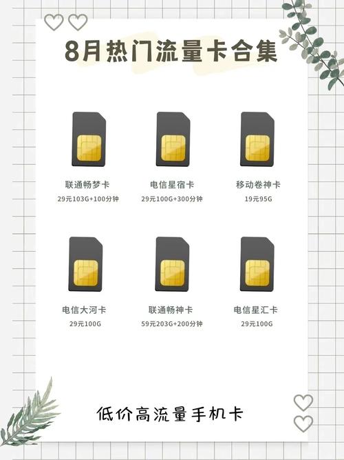 麦谷记录者更换流量卡