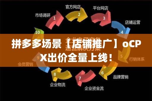 拼多多场景出价一般多少?拼多多场景出价该如何设置?(拼多多场景出价是真的吗)