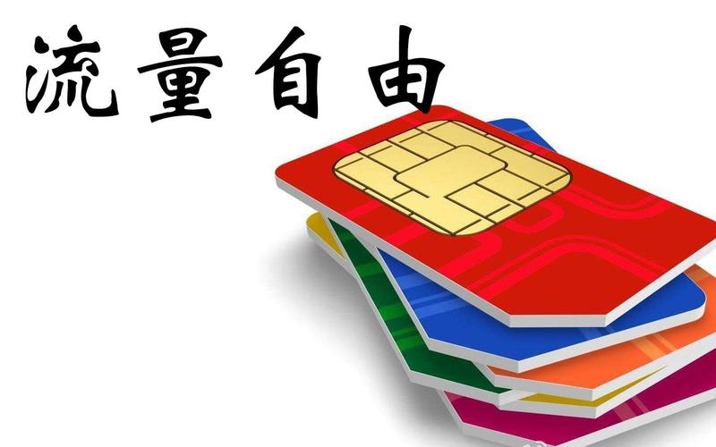 全民优打100兆流量卡
