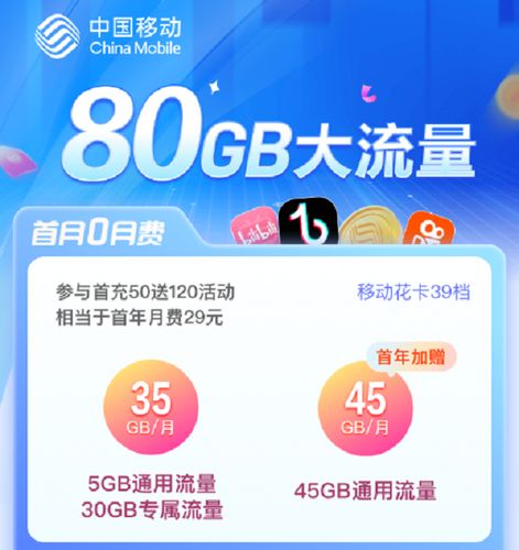 谁能单挑大王卡免流量