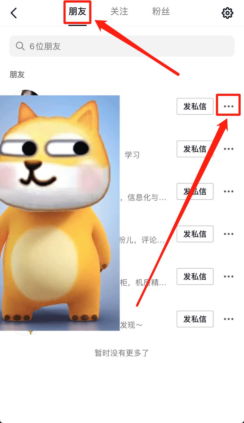 抖音发过去是什么意思