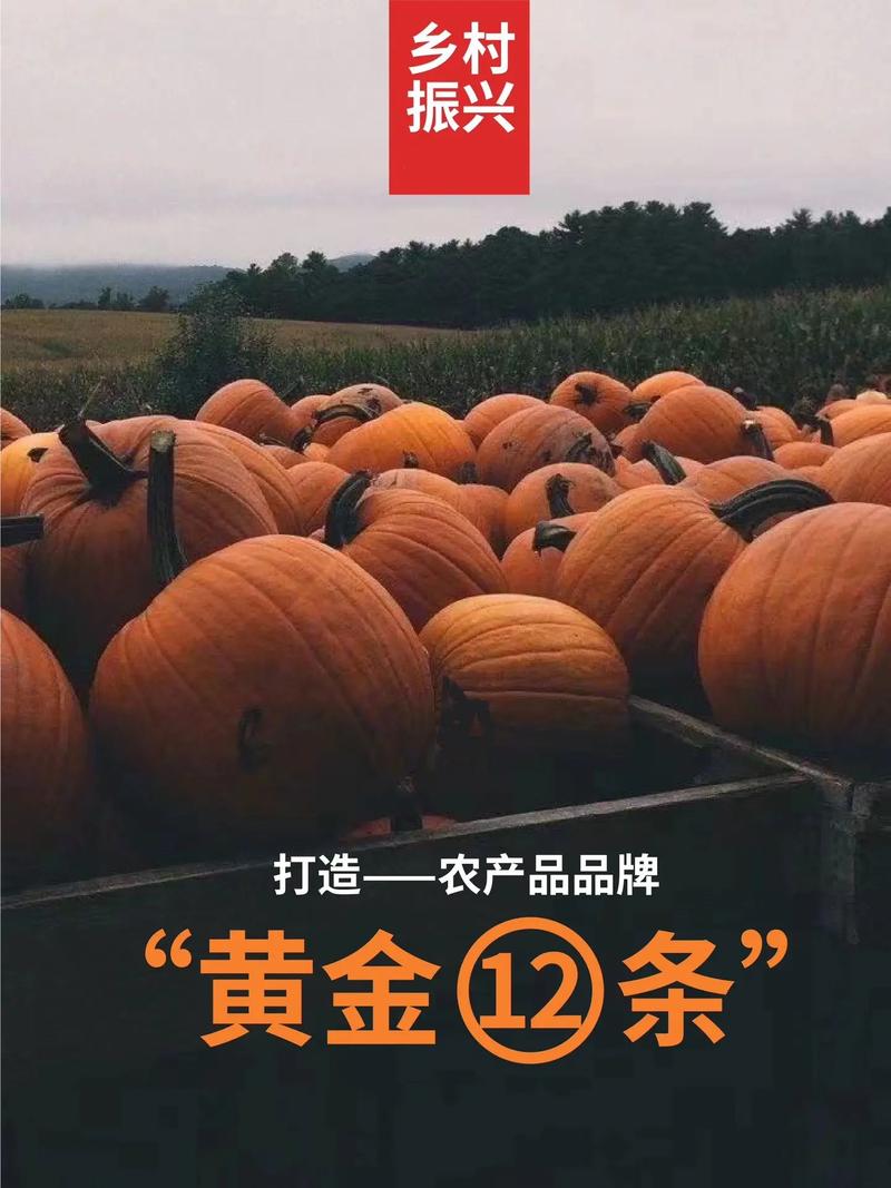 抖音卖什么农产品最好呢