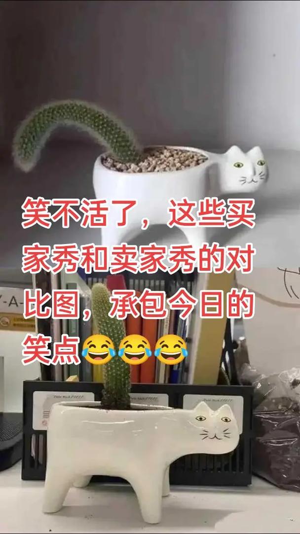 抖音里卖家秀是什么意思