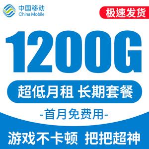 重庆移动流量大王卡