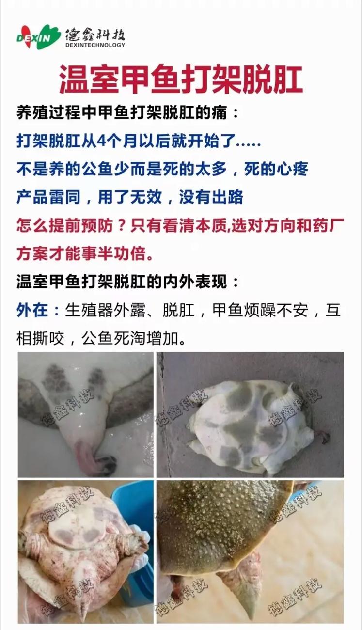 抖音捡王八的小说叫什么
