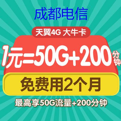 电信无限流量和日租卡