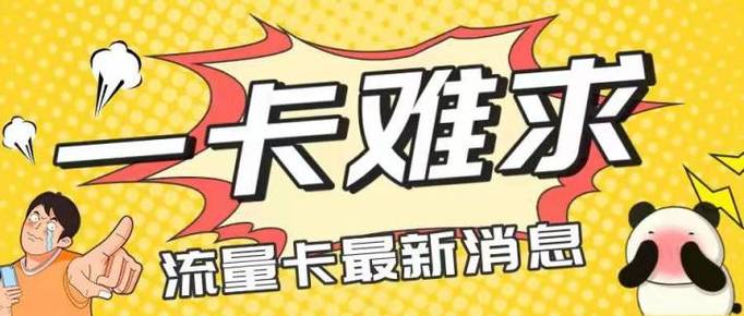 目前还有多少流量卡没用