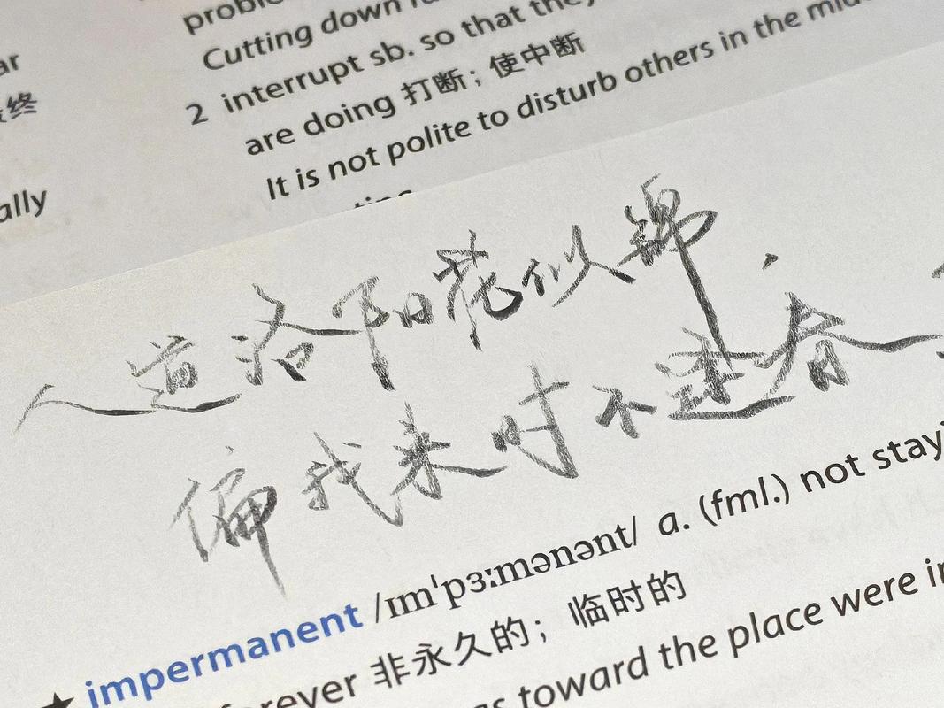 抖音为什么不能用手写字