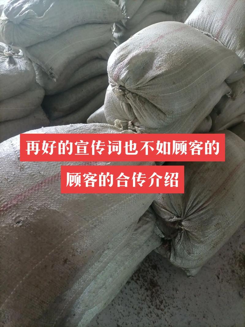 随叫随到的抖音号是什么