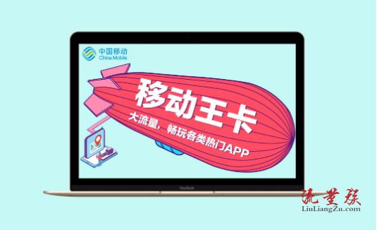 移动流量包里的王卡