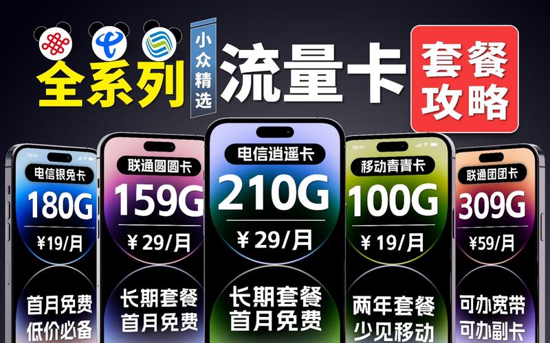 亲情卡能查到流量吗