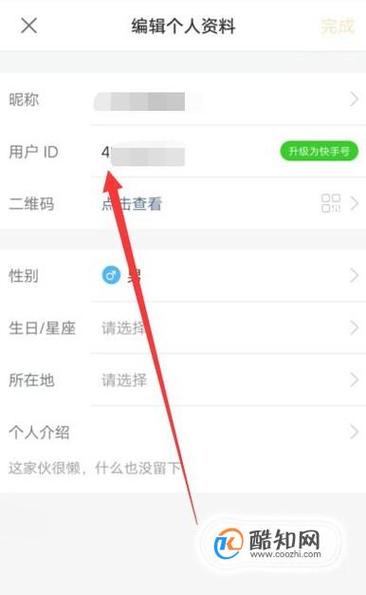 快手怎么查询违章