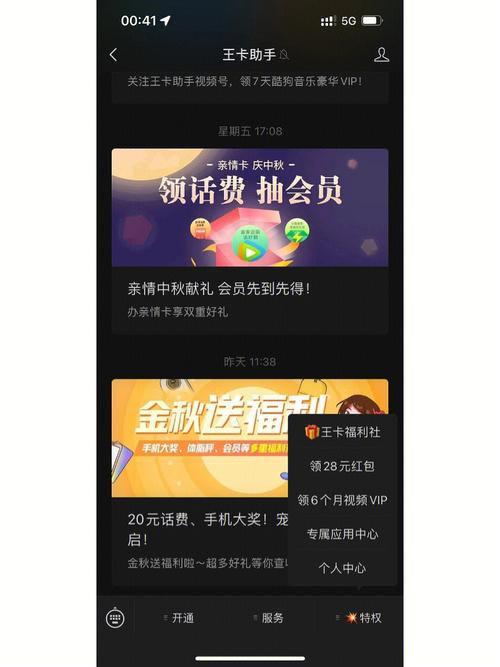 怎样打开王卡免流量