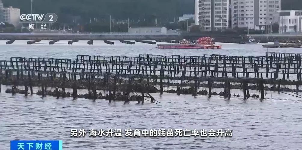 弘泰服务部流量卡