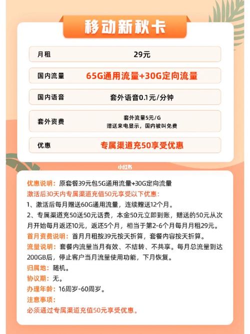 买流量不买卡怎么买