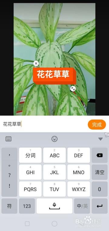 快手怎么竖着打字