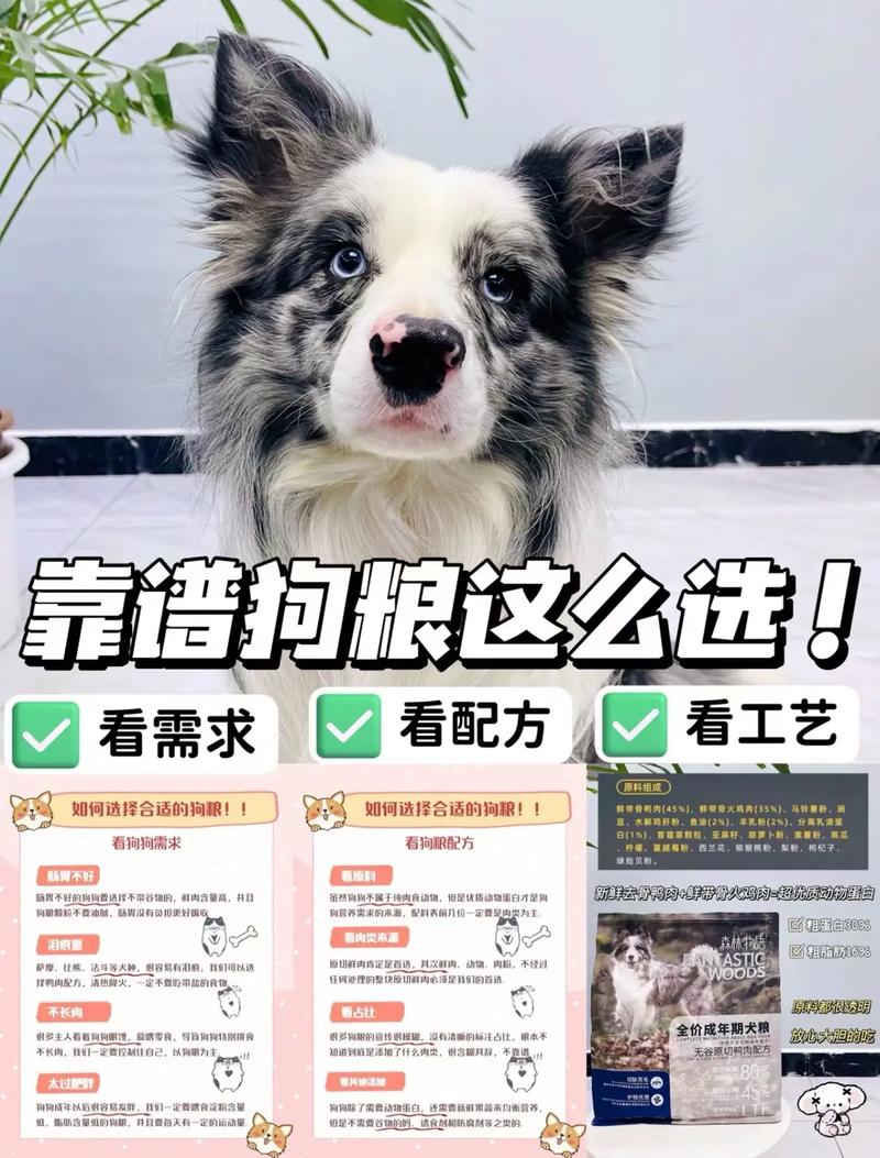 狗粮上抖音需要什么资质