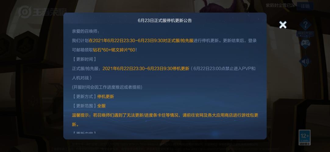 怎么让流量玩王者不卡